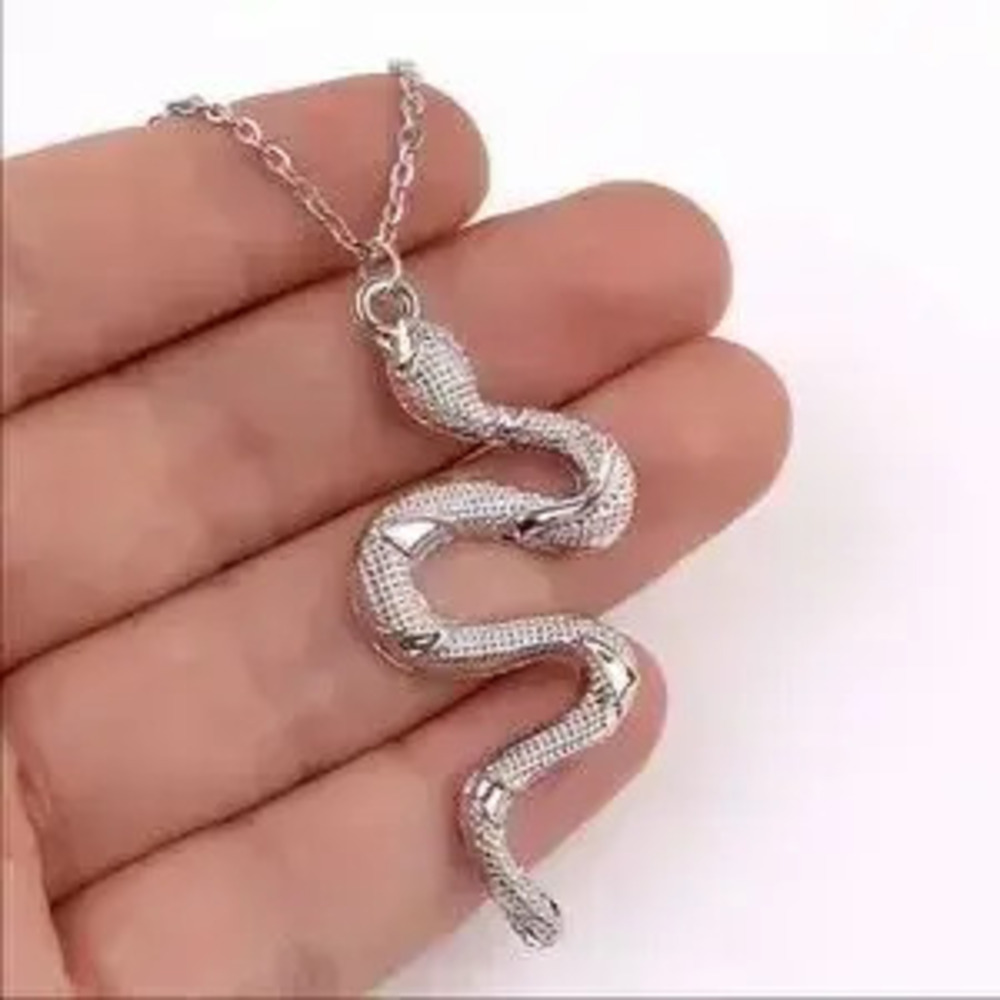Silver Snake Necklace
